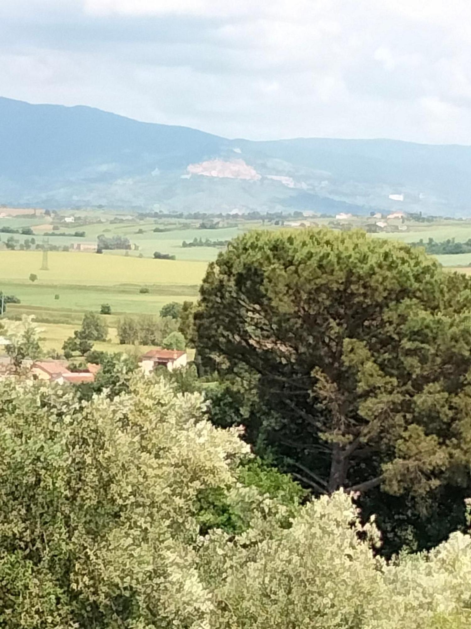 Villa Spaccasole Su Cortona Foiano Della Chiana Extérieur photo