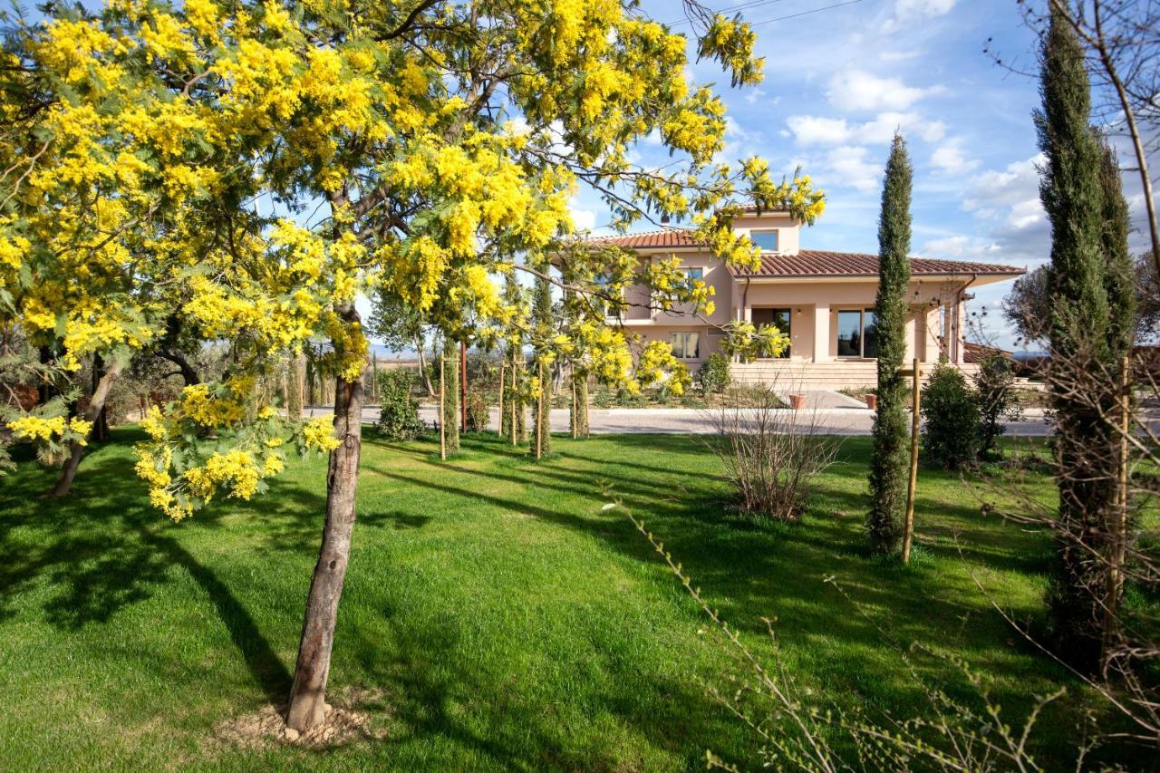 Villa Spaccasole Su Cortona Foiano Della Chiana Extérieur photo